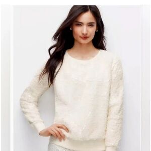 Ann Taylor Cracked Ice Crewneck Sweatshirt NWOT